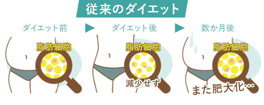 従来のダイエットのリバウンドの仕組み