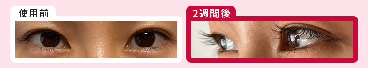 確実にバサバサになっています