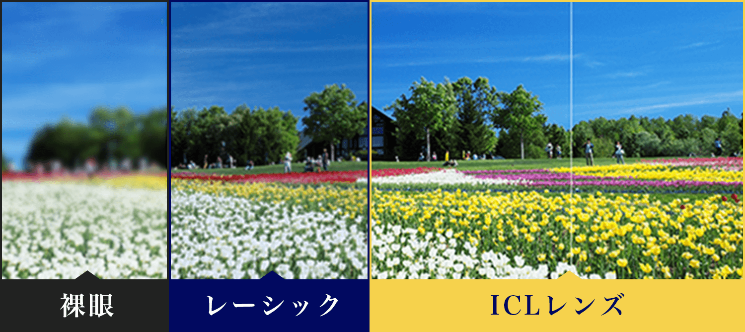 裸眼・レーシック・ICL見え方比較画像2