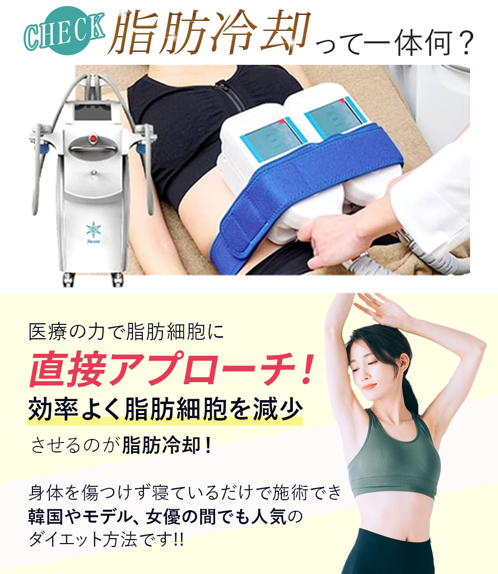 医療の力で脂肪細胞に徹底アプローチ！効率よく脂肪を減らせるのが脂肪冷却！