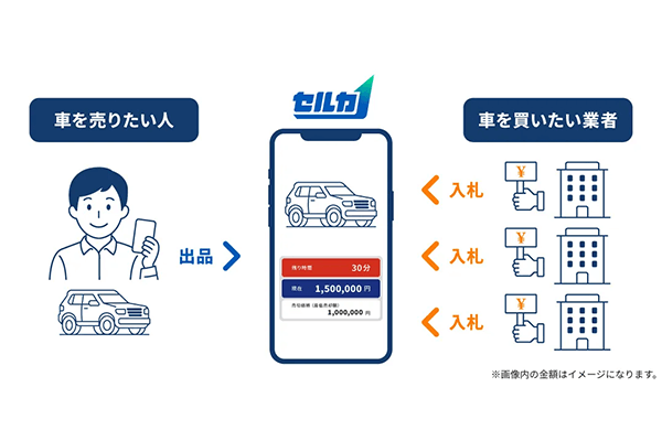 オークションが高額な理由2