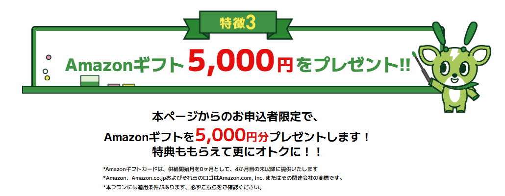 エバーグリーンのキャンペーン情報