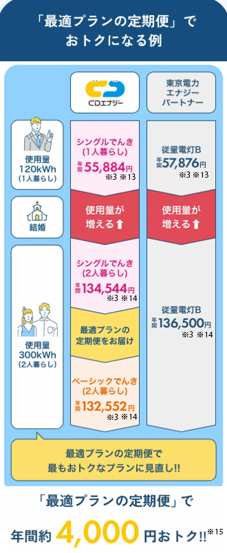 CDエナジー最適プラン定期便活用例